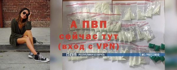 экстази Богданович