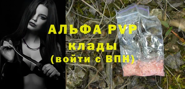 экстази Богданович