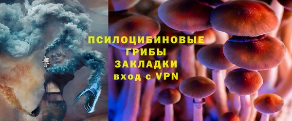ПСИЛОЦИБИНОВЫЕ ГРИБЫ Богородицк